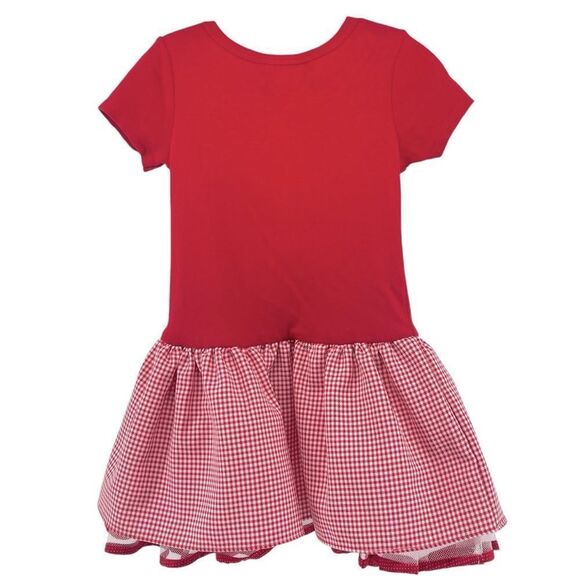 Bonnie Jean Girl’s Red Gingham Dress with Ladybug Appliqué Bow – Size 5 - Picture 10 of 12